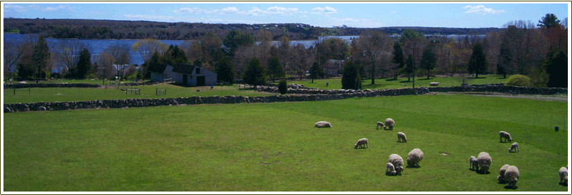Farm Stays at the Stonehaven Family Farm