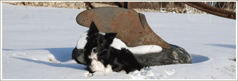 Farm Stays at the Stonehaven Family Farm